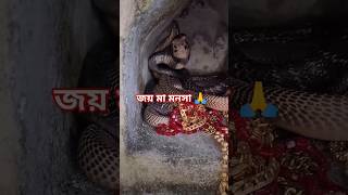 কেউ অহংকার করে মাকে এরিয়ে যেও না বিপদ হবে | জয় মা মনসা সেয়ার করলে ভাগ‍্য বদলাবে #shorts #shortsfeed