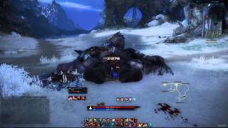 Tera online [US]: Lv60 Slayer with 23% attack speed Killing BAM Demo