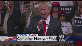 Keller @ Large: Deciphering Trump's Firing Of His Campaign Manager