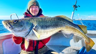 CATCHING GIANT COD | Team Galant