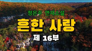 흔한사랑 제 16부/ 이 사람에게 나는 결국 흠이 있어서 싸게 살 수 있는 물건과 다를 게 하나도 없었다. / 오디오북 #소설듣기 #소설읽어주는여자