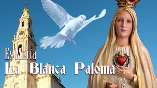Es María la Blanca Paloma con letra. Música en honor a la Virgen de Fátima  #fatima #blancapaloma