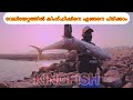 How to catch kingfish in low tide |shorejigging Uae 🇦🇪