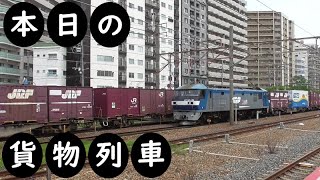 【本日の貨物列車】No.1255　2024,4,13　第62番列車＆73番列車　Today‘s freight train　離合！