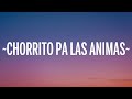 Feid - CHORRITO PA LAS ANIMAS (Letra/Lyrics)  1 Hour Version