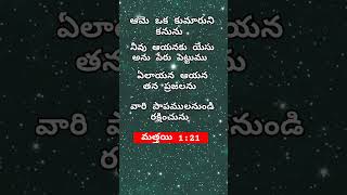 ఆమె ఒక కుమారుని కనును🙏#shorts #bibleverses #todaypromise #youtubeshorts #ytshorts