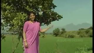 Bayapadathe Magilnthu Kalikooru | Tamil Christian Song | Jesus Redeems