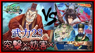 【三国志大戦】トネガワvsスーパー王異【突撃も妨害も効かない】