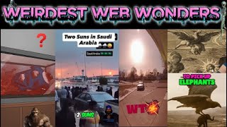 weirdest web wonders vol 16