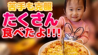 【パパとママもびっくり】ハンバーグもお刺身もピザもいただきます！ガストでランチ