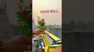 👬“તું મારો દરિયો“🤝💕|| Gujarati Banjo Music || #musician #music #shorts #gujarati #song #artist