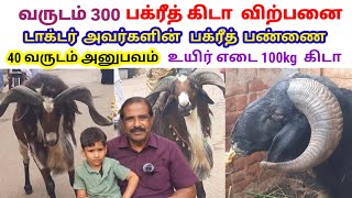 டாக்டர் அவர்களின் 40 வருட பக்ரீத் கிடா பண்ணை / 1 கிடா உயிர் எடை 100kg / வருடம் 300  கிடா விற்பனை