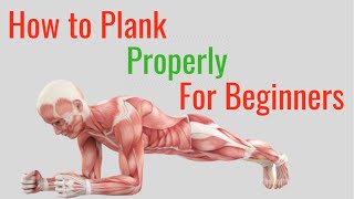 How to Plank Properly for Beginners - Step By Step Tutorial