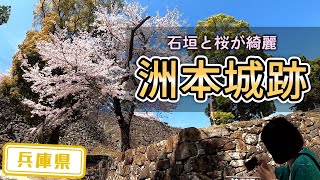 【兵庫県】【最高の写真】綺麗な桜を見に行くならここがおすすめ「洲本城跡」