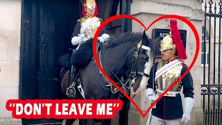 Best MOMENT !! King’s Guards and the horse (The King’s Guard)
