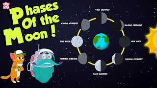 Phases Of The Moon | Why Does The Moon Change Its Shape? | Space | Dr Binocs Show | Peekaboo Kidz
