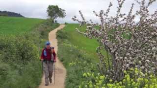 Walking The Camino de Santiago