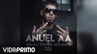 Anuel AA - Mi Vida [ Audio]