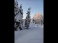 fahrt durch die verschneite winterlandschaft lapplands