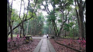 雨後即景在南投縣竹山鎮下坪熱帶植物園