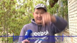 В Бурятии возле посёлка Николаевский обнаружено озеро фекалий животных.