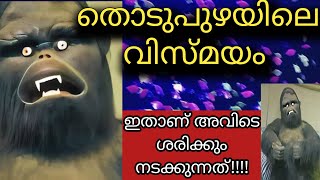 തൊടുപുഴയിൽ നടക്കുന്നത് നിങ്ങളറിയുന്നുണ്ടോ?😱😱Marine  Expo Thodupuzha