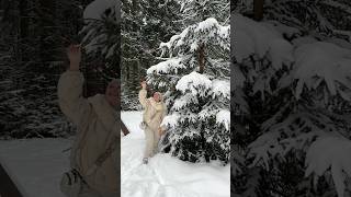 💕💕💕Magical Snow💕💕💕 #snow #winter #snowflakes #positivevibes  #forest #travel #nature #czech