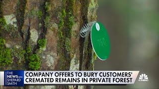 Funerals go green as cremated remains are 'buried' in private forests