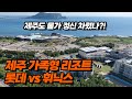 이제는 따뜻한 제주로 떠날 시즌! 가족 여행으로 가기 좋은 제주 호텔, 리조트 추천 | 중문 롯데호텔 제주 & 섭지코지 휘닉스 아일랜드 제주