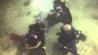 Divemaster Stress Test