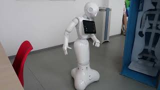 5. SoftBank Pepper robot assistant - Auction 40274