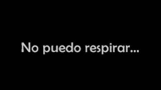 Busted - Without you (en español^^)