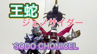 仮面ライダー王蛇　ジェノサイダーで　ファイナルベント　SODOCHONICLE  バンダイプレミアム