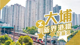 【大埔搵樓】新達廣場．寶湖花園．寶雅苑．新界港鐵星級選