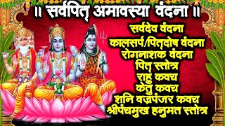 सर्वपितृ अमावस्या~सर्वदेव वंदना~कालसर्प-पितृदोष-रोग शमन~राहु-केतु-शनि कवच~हनुमान वंदना