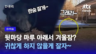 미국 가정집 마루 밑에서 겨울잠에 든 흑곰…\