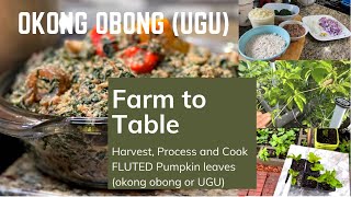 HOW TO COOK OKONG OBONG (UGU) WITH EGUSI (super simple Cameroonian Recipe) @YAJESGARDEN