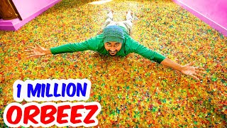 Parents Shocked | House Full of 10,00,000 Orbeez