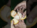 কমলা কাটিং youtubeshorts shorts viral fruitcutting কমলা