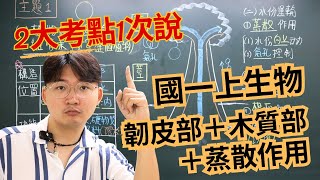 4-1+4-2｜上集｜國一上生物【植物運輸| 4大考點】考點翔細說