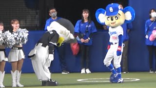 2023.06.13 全く仲良しじゃない！ドアラとマー様