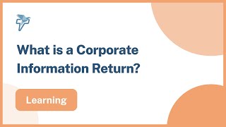 What is a Corporate Information Return?