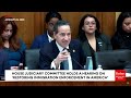 witness tells jamie raskin that new trump immigration orders will increase illegal crossings