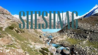 SHESHNAG LAKE FULL TREK | AUTUMN TREK | ALPINE LAKE | AMARNATH YATRA ROUTE | PAHALGAM | KASHMIR