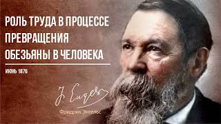 Фридрих Энгельс — Роль труда в процессе превращения обезьяны в человека (06.76)