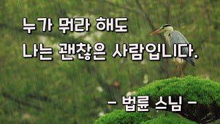 누가 뭐라 해도 나는 괜찮은 사람입니다.    -법륜 스님-