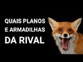 🦊 QUAIS PLANOS e ARMADILHAS da RIVAL ? ( SER AMADO E RIVAL ) - BARALHO CIGANO HOJE RESPONDE AGORA