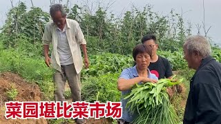 菜园偶遇小叔叔，农哥和大妮又送菜又送瓜，菜园里有说有笑真热闹