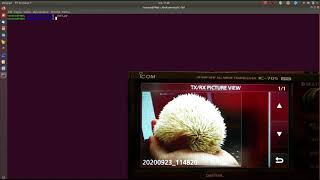 Icom IC-705 - WiFi Image Transfer with Python - POC