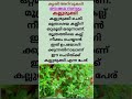 കൃഷി അറിവുകൾ kallurukki benefits farming shorts